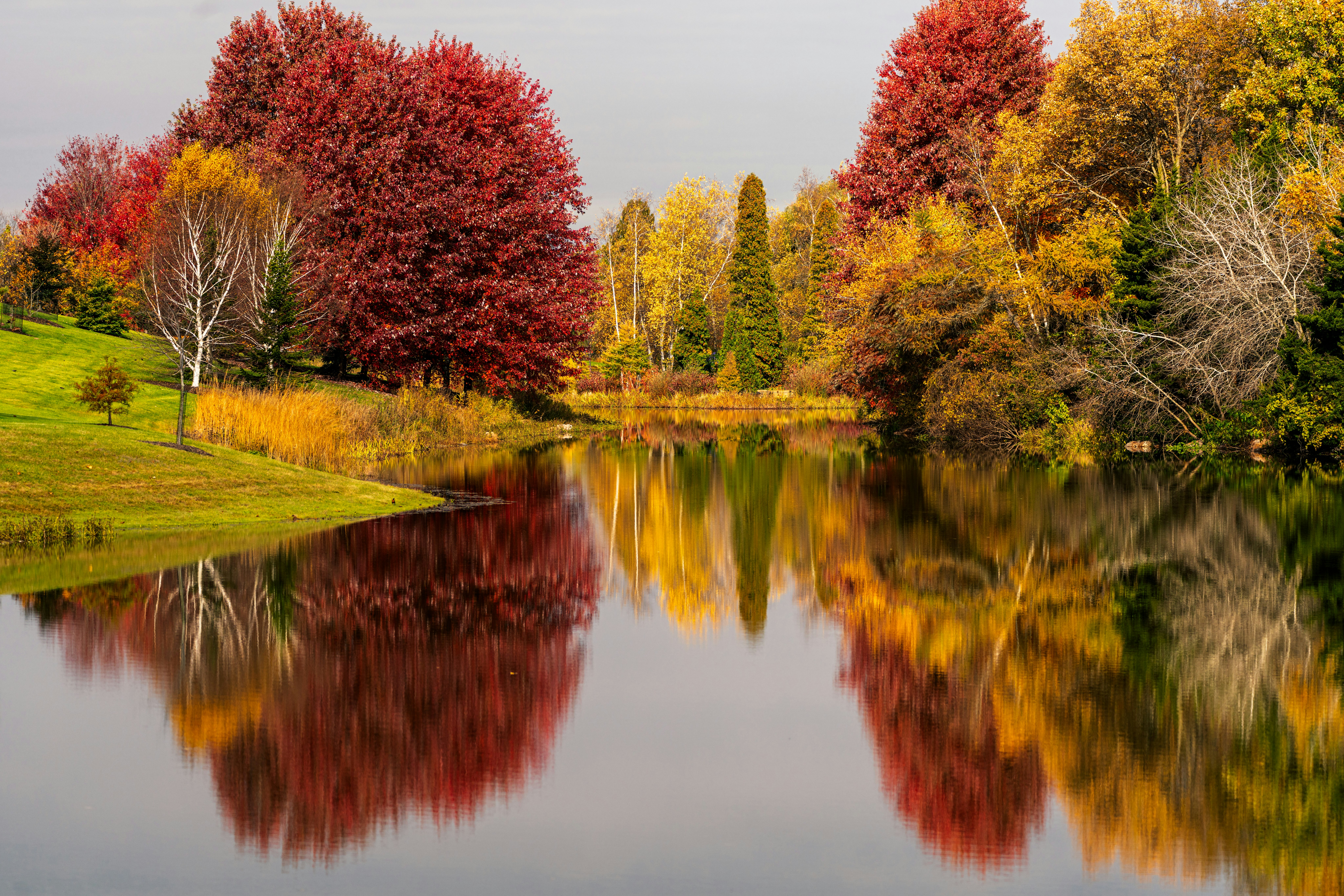 paysage de la saison automne
